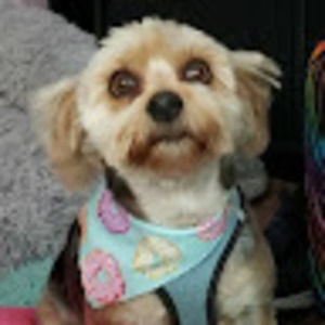 Meet your Posher, Erin